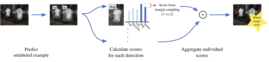 image info